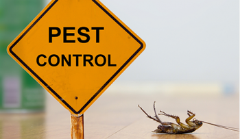 Pest-Control